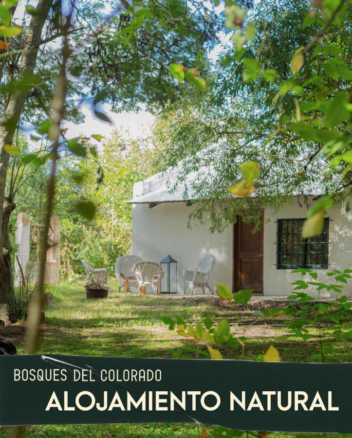 Villa Bosques Del Colorado.Relax En El Bosque Los Cerrillos Exterior foto